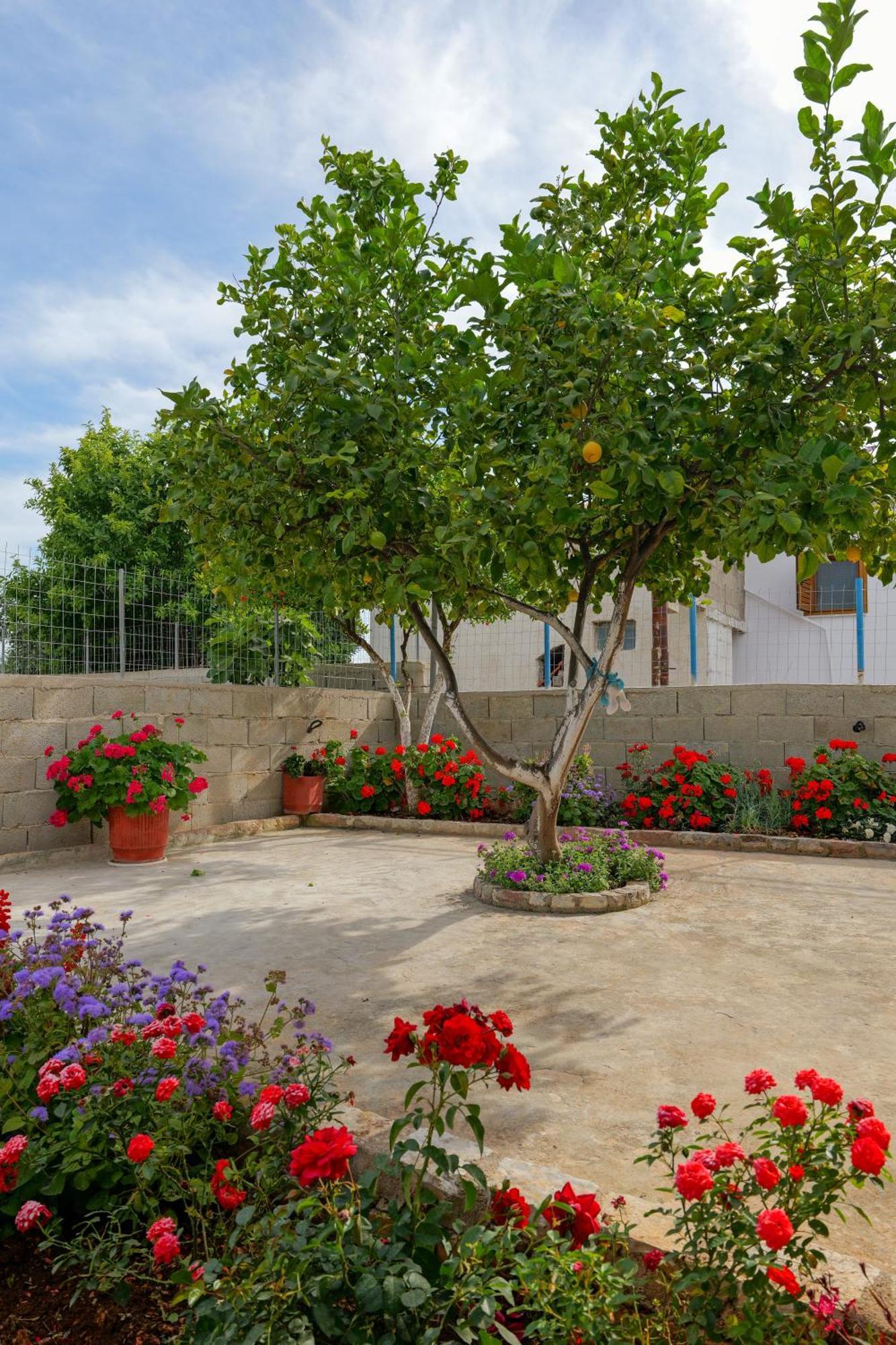 Brahimi Guest House Ksamil Exteriér fotografie